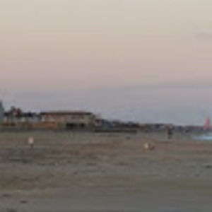 Meet your Posher, Dominick